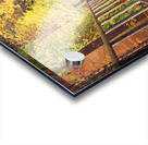 Fall Pipe Line Run 16x24 Acrylic print