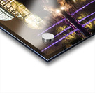 Lewis Ginter Fest of Lights cropped nik filters.j Acrylic print