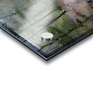 Pathway Series-4 - Tahlequah Trail  Acrylic print