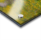 Pathway Series-5 Wichita Mountains Wildflower Path Acrylic print