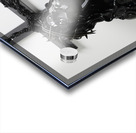 CroceBlack Acrylic print