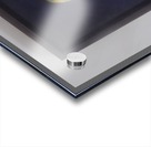 20161205_142352_LLS Acrylic print