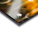 jludwigButterflyjpeg 16 Acrylic print