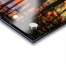 jludwigButterflyjpeg 3   Copy Acrylic print