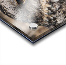 Gallina ciega Acrylic print