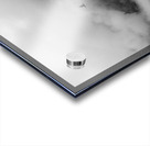 Austral Acrylic print