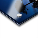 Conguillio Acrylic print