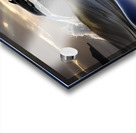 Jumping Dolphin Acrylic print