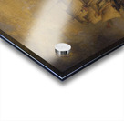 The Pursuit Acrylic print