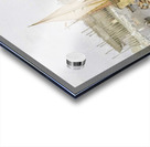 SS 'Great Eastern' Acrylic print