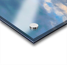 Wild Horse Dream Acrylic print