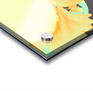  Neon Orange Sunflowers Two in Heatwave Acrylic print