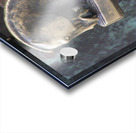 LubjyanaR Acrylic print