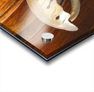 Gdansk Acrylic print