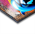 IMG 6266 Acrylic print