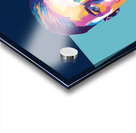 Evan Ferguson Acrylic print