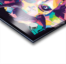 Lilith Acrylic print