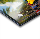 IMG 7877 Acrylic print