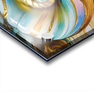 IMG 8050 Acrylic print