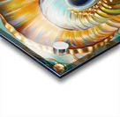 IMG 8052 Acrylic print