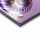 IMG 8038 Acrylic print