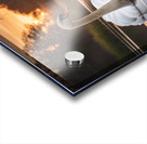 Swan on Golden Pond Acrylic print