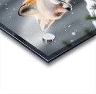 Red Fox hiding in the snow Acrylic print