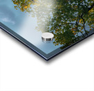 Eagle in the storm Acrylic print