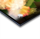 Antique Painting of Flowers Acrylic print