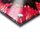 Bloodstone Poppy Acrylic print