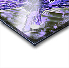 Clarence in Purple Acrylic print