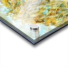 Clem in Yellow Acrylic print
