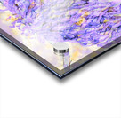 Clem in Purple Acrylic print