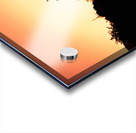 Golden Tree Acrylic print