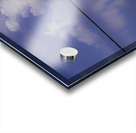 Pine Island Sound  Acrylic print