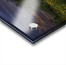 Logan Berry Acrylic print