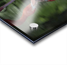 Nose to Nose Acrylic print