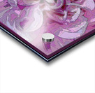 PEONY 001 Acrylic print