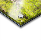 CO 2023 Elk1 Acrylic print