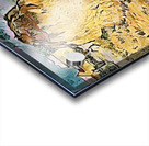 van gogh haystacks in provence2 Acrylic print