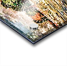 The Banks of the Seine 2 Acrylic print