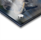 Strike a pose Acrylic print