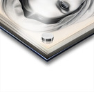 A Classical Art Portrait Illustration Of A Lady Wearing A Veil AI Concept Creation by Xzendor7 Acrylic print