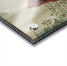 An Oriental woman feeding the pigeons Acrylic print
