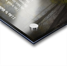 I Like to Walk with Grandma Acrylic print