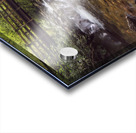 Smoky Mountains  River and Bridge Acrylic print