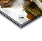 Shakespeare Park Montgomery Alabama  Acrylic print