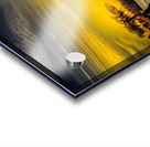 Martin Lake Louisiana Sunset  Acrylic print