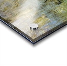 Louisiana Bald Cypress Light Beams Acrylic print