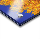 Yellow  Ginkgo Biloba Leaves Acrylic print